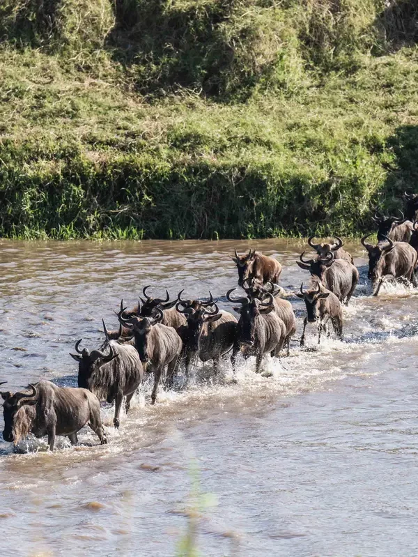 Lewenei with clients – Lewenei Tours and Safaris-034