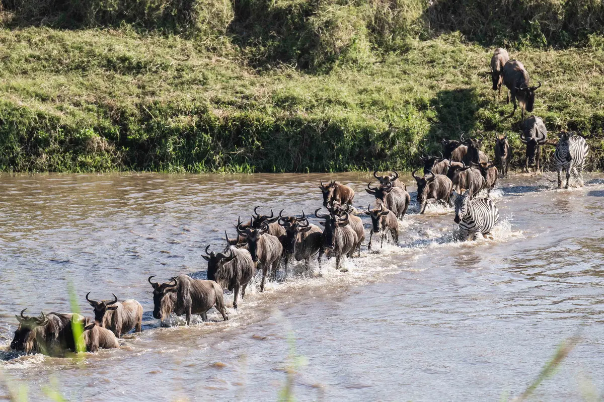 Lewenei with clients – Lewenei Tours and Safaris-034