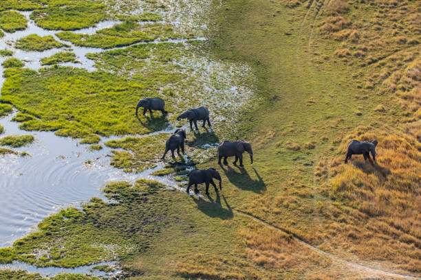 Aerial Photography. Lewenei Tours and Safaris